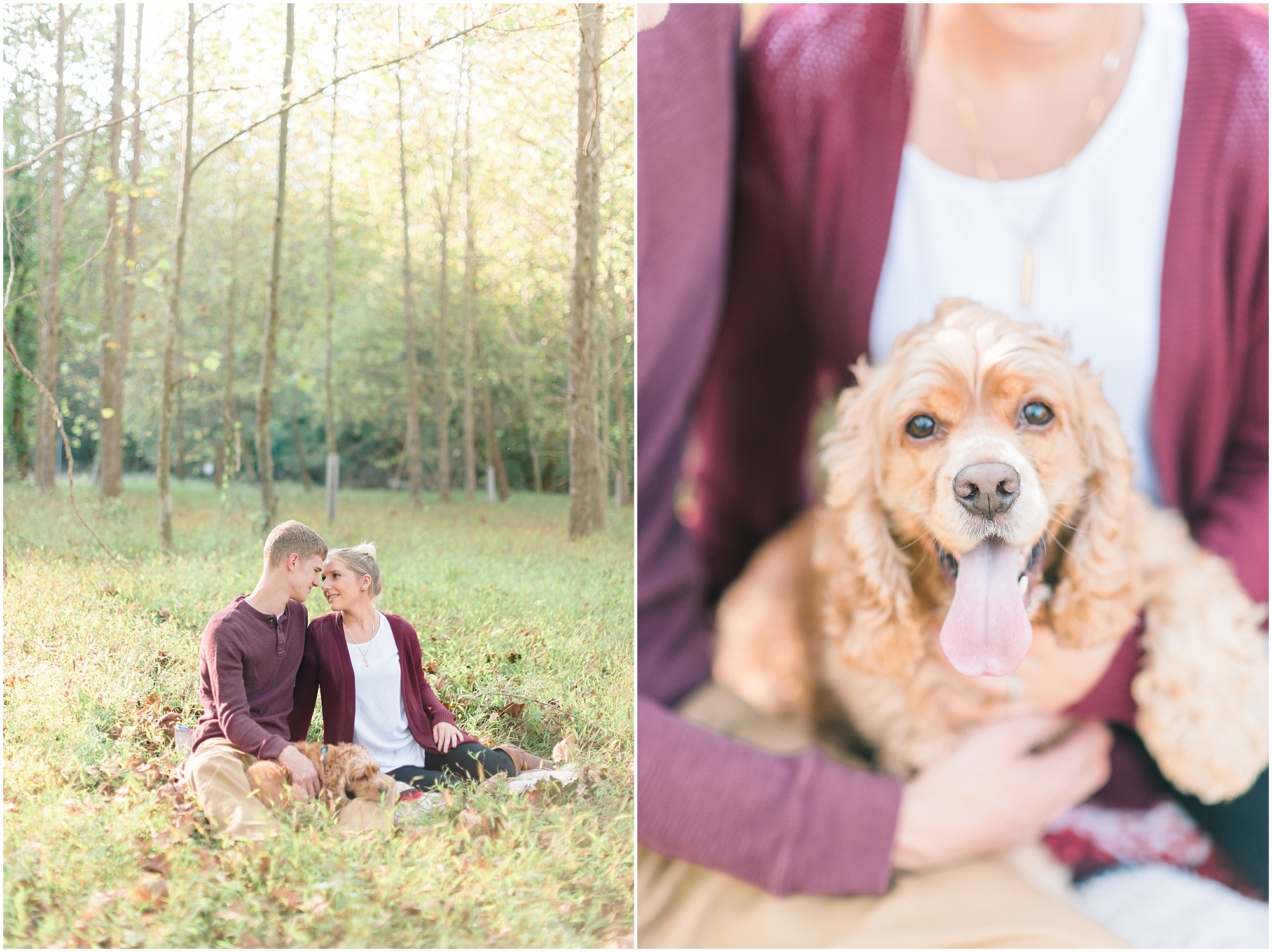 Patapsco Valley State Park Fall Engagement photos by Megan Bennett Photography