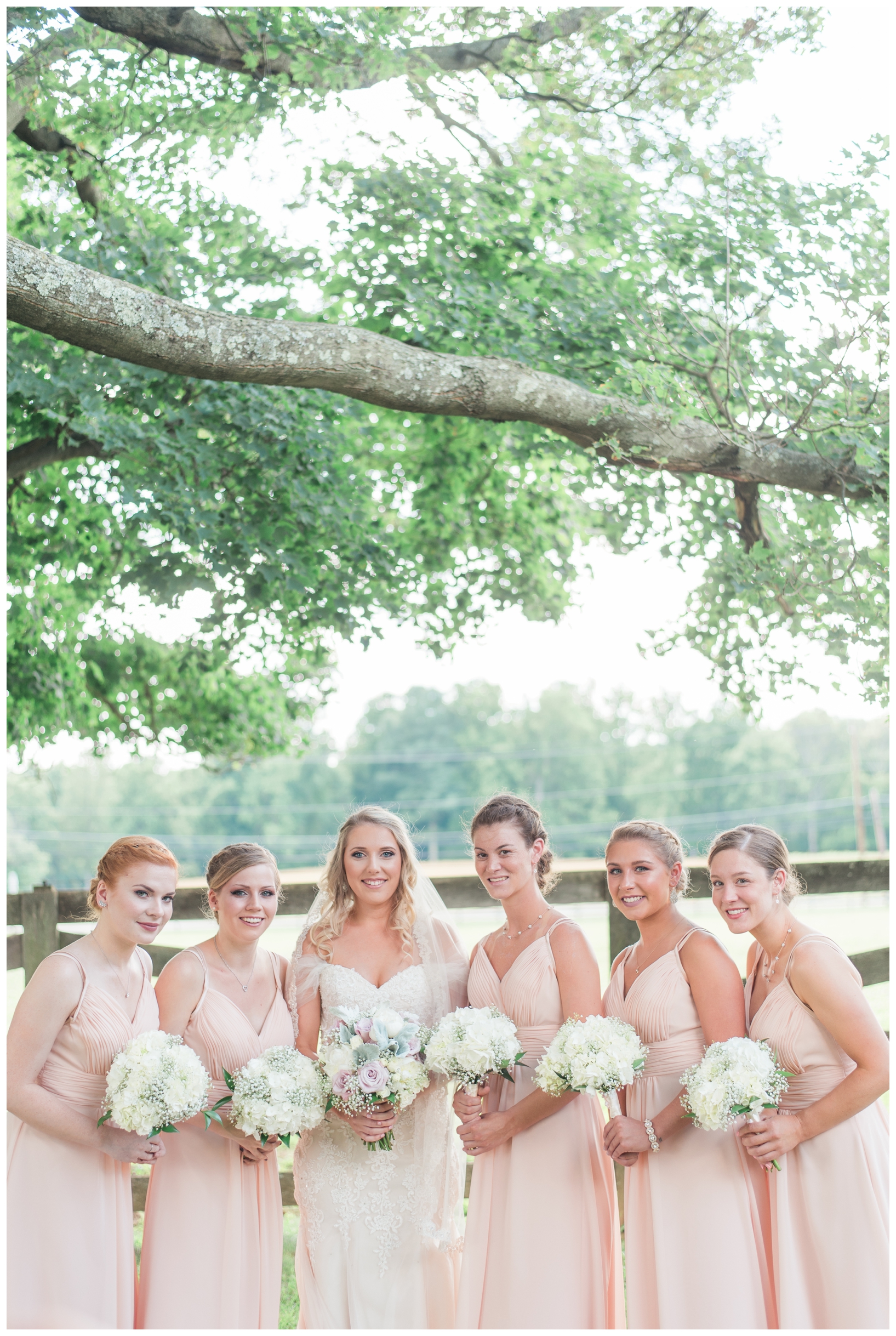 Woodlawn Manor outdoor blush pink summer wedding in Maryland by Megan Bennett Photography