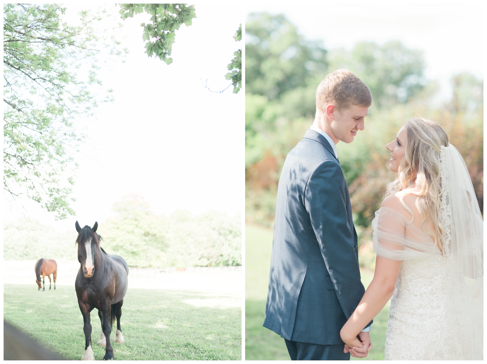 Woodlawn Manor outdoor blush pink summer wedding in Maryland by Megan Bennett Photography